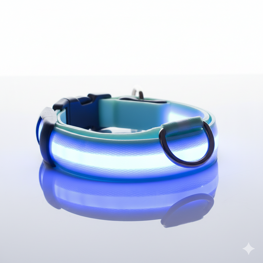 LED Halsbandet ⎮ Synliggör din hund