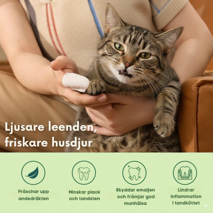 FreshWipe Kit Cats - Skyddar Mot tandproblem