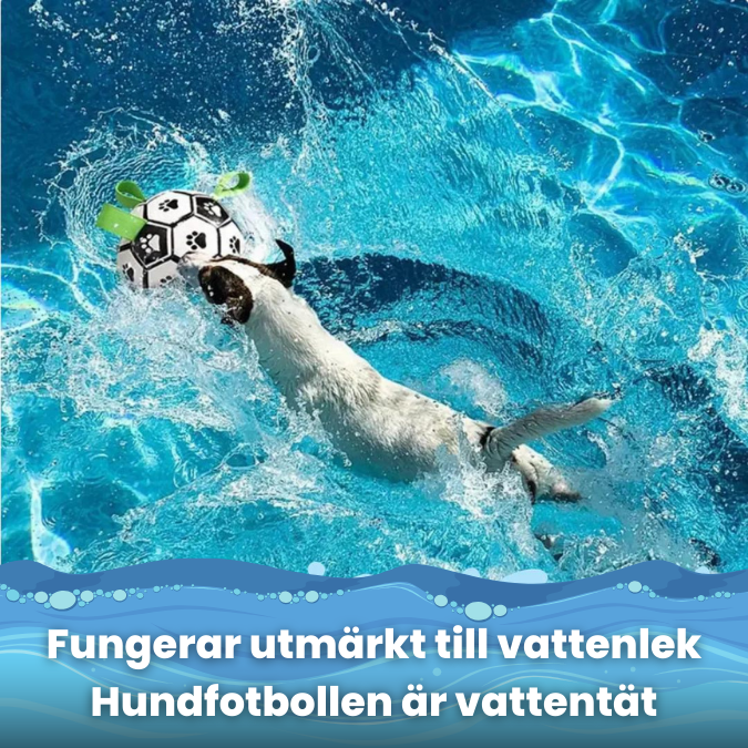HundFotbollen™️ - Slitstark & Stimulerande Leksak