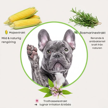 FreshCare Komplett Hälsokit