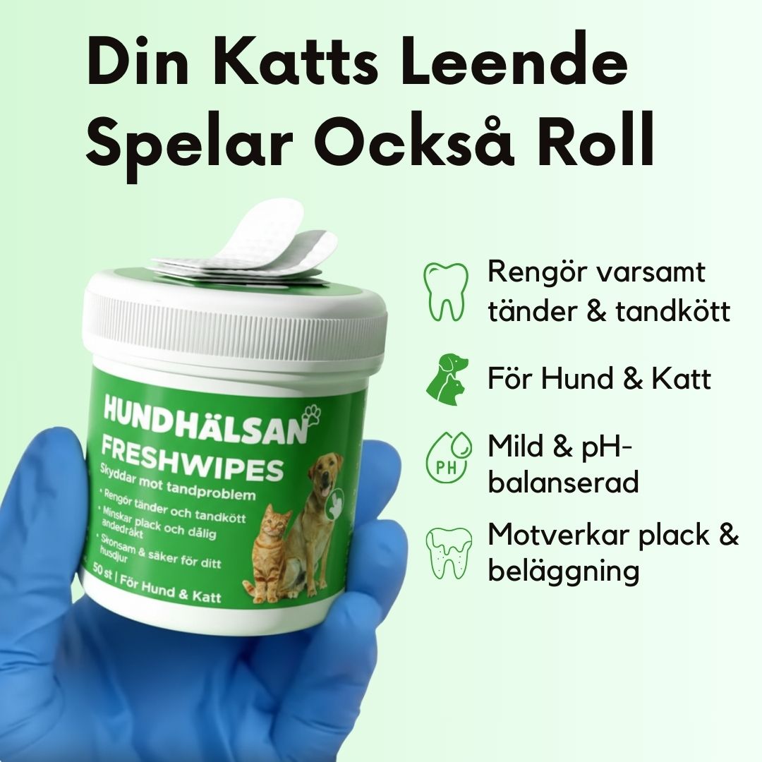 FreshWipe Kit Cats - Skyddar Mot tandproblem