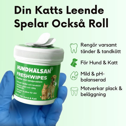FreshWipe Kit Cats - Skyddar Mot tandproblem