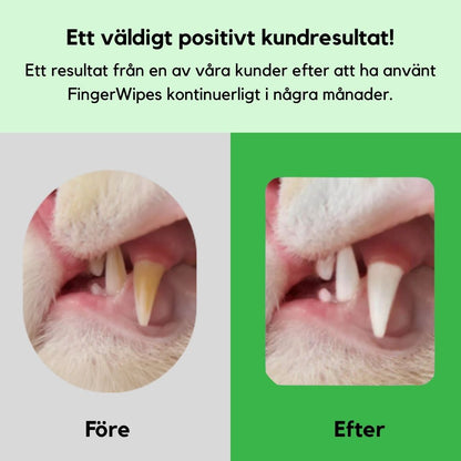 FreshWipe Kit Cats - Skyddar Mot tandproblem