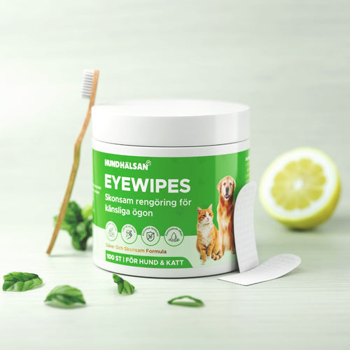 EyeWipes Kit - Skyddar mot ögonproblem