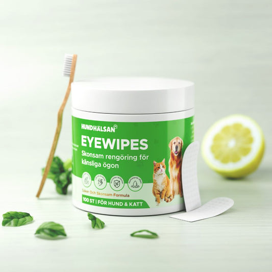 EyeWipes Kit - Skyddar mot ögonproblem