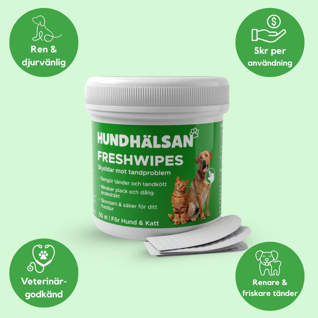FreshWipe Kit - Skyddar mot tandproblem