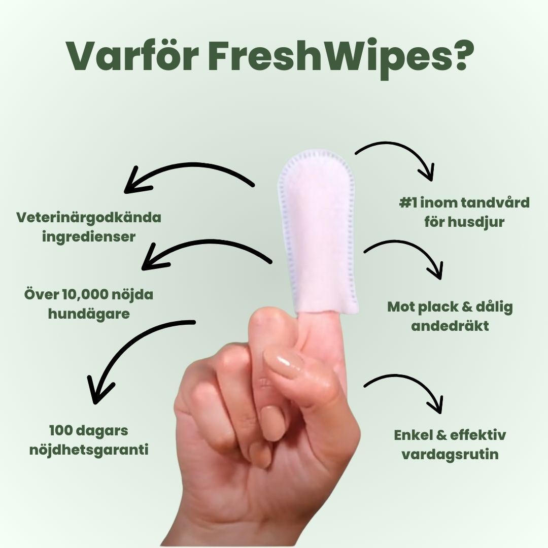 FreshWipes – För frisk andedräkt & starka tänder