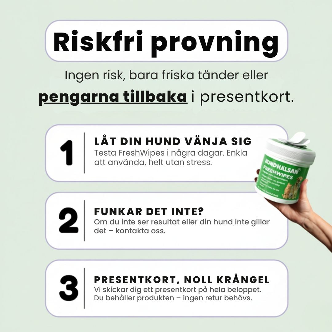 FreshWipes – För frisk andedräkt & starka tänder