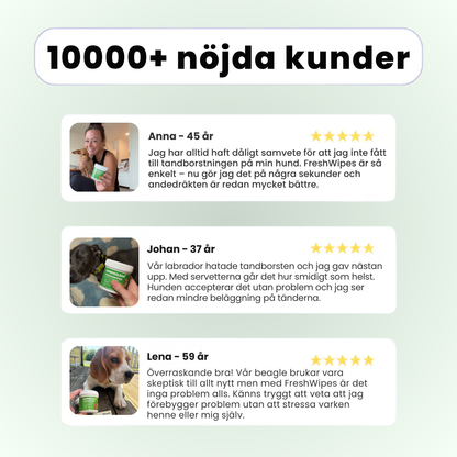 FreshWipes – För frisk andedräkt & starka tänder