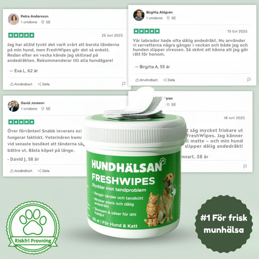 FreshWipes – För frisk andedräkt & starka tänder
