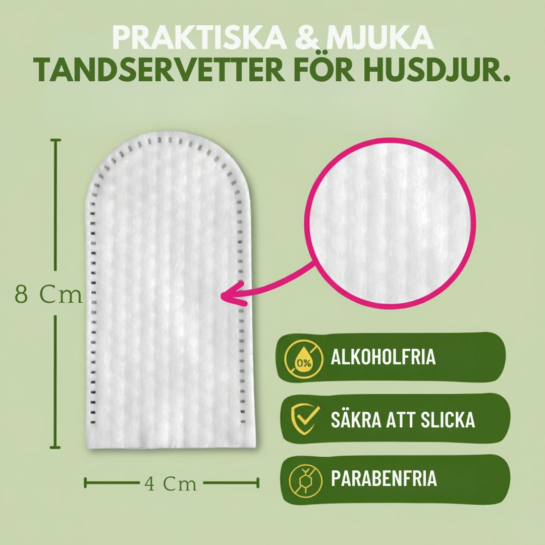 FreshWipe Kit - Skyddar mot tandproblem