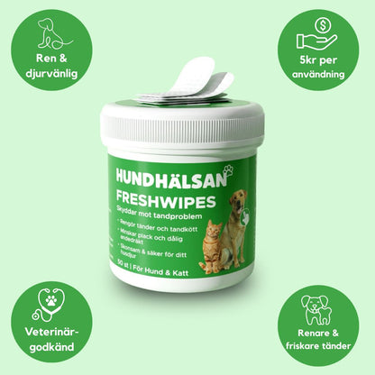 FreshWipe Kit - Skyddar mot tandproblem