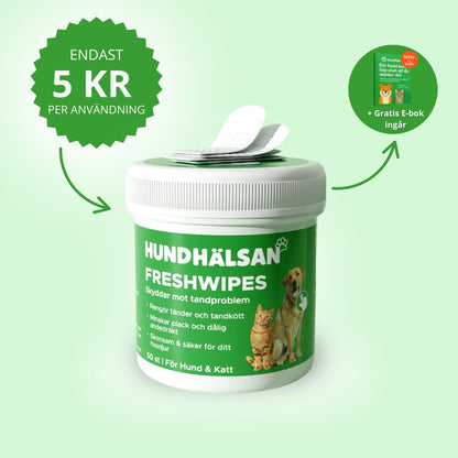 FreshWipe Kit - Skyddar mot tandproblem