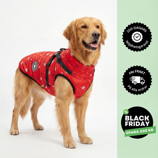Vattentät Hundjacka Med Sele