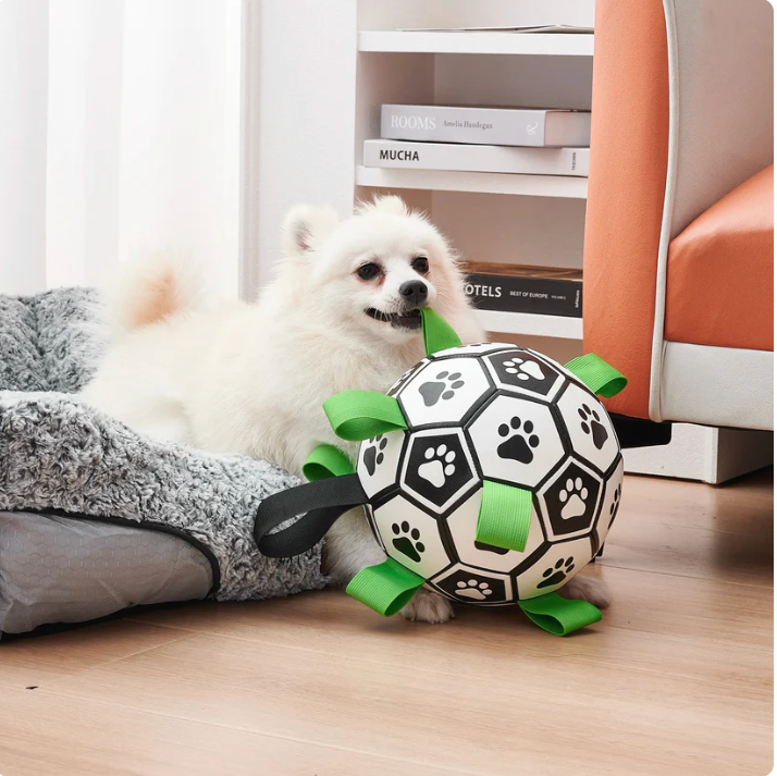 HundFotbollen™️ - Slitstark & Stimulerande Leksak