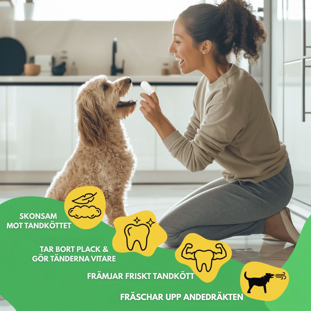 FreshWipe Kit - Skyddar mot tandproblem