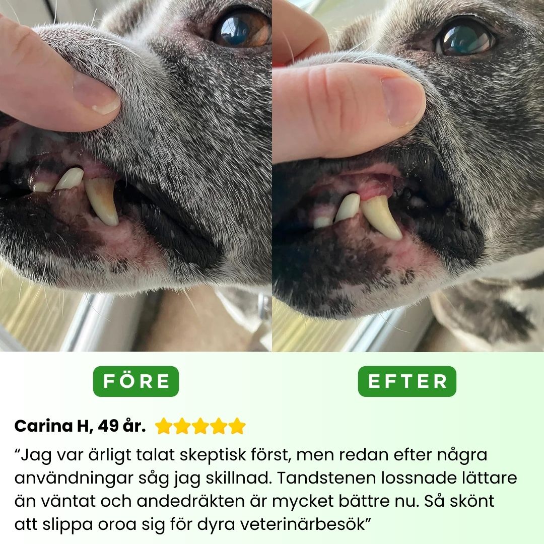 FreshSmile 3 in 1 Kit - Säker tandvård hemifrån