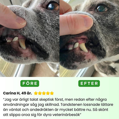FreshSmile 3 in 1 Kit - Säker tandvård hemifrån