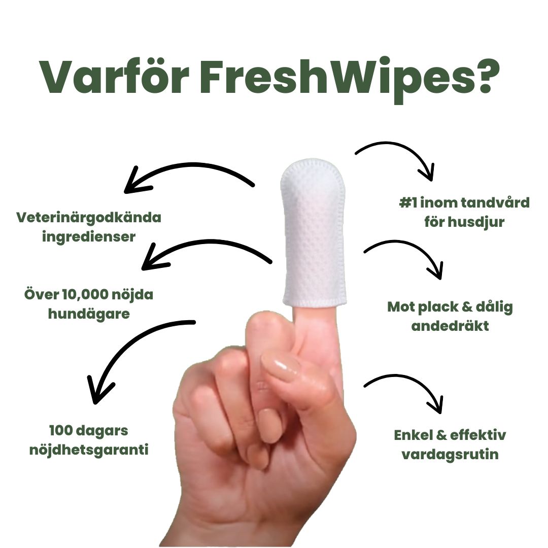 FreshWipe Kit - Skyddar mot tandproblem