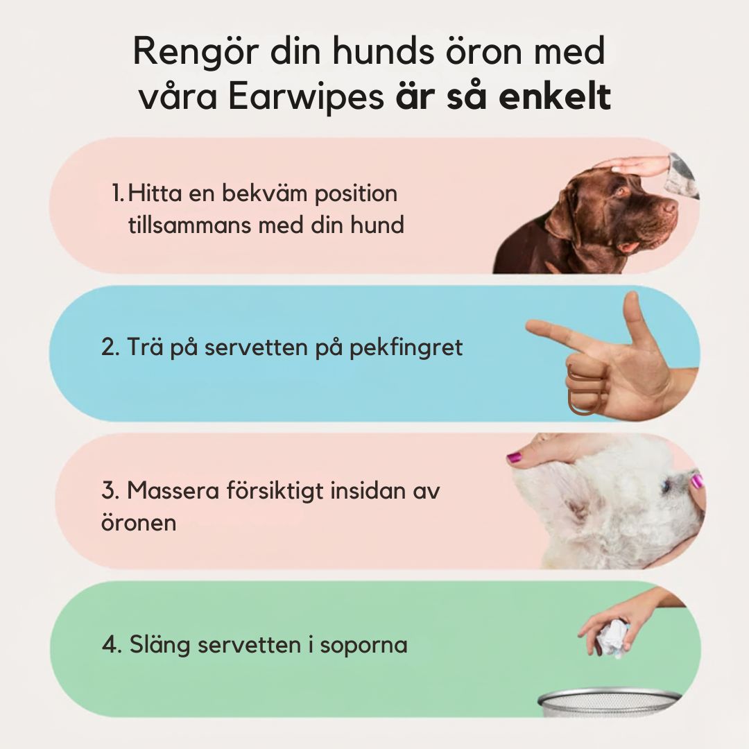 EarWipes Kit - Skyddar mot öronproblem