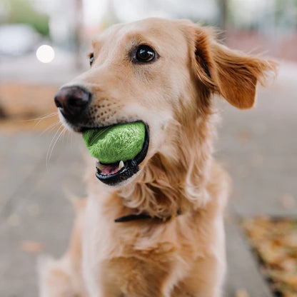 Aktiva Bollen™ - Leksaken som aktiverar din hund