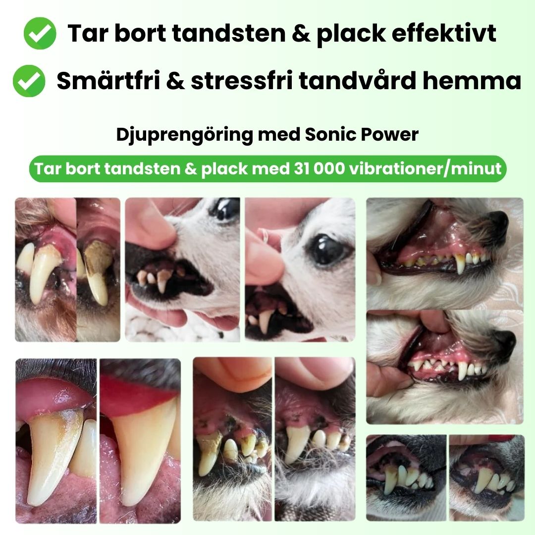FreshSmile 3 in 1 Kit - Säker tandvård hemifrån