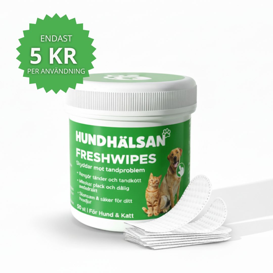 FreshWipe Kit - Skyddar mot tandproblem