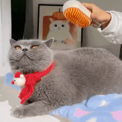 SteamGroom PRO™️