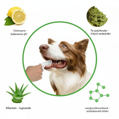 FreshWipe Kit - Skyddar mot tandproblem