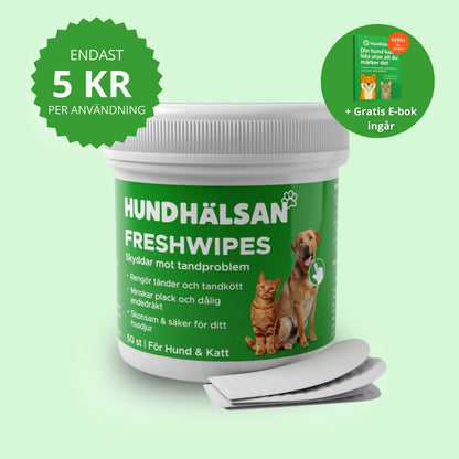 FreshWipe Kit - Skyddar mot tandproblem