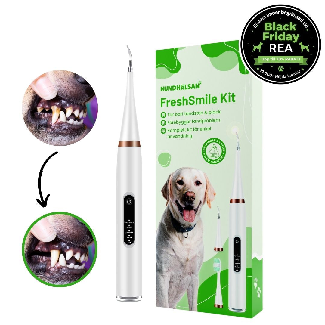 FreshSmile 3 in 1 Kit - Säker tandvård hemifrån