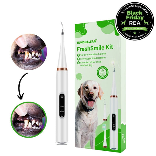 FreshSmile 3 in 1 Kit - Säker tandvård hemifrån