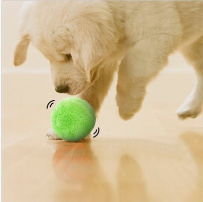 Aktiva Bollen™ - Leksaken som aktiverar din hund