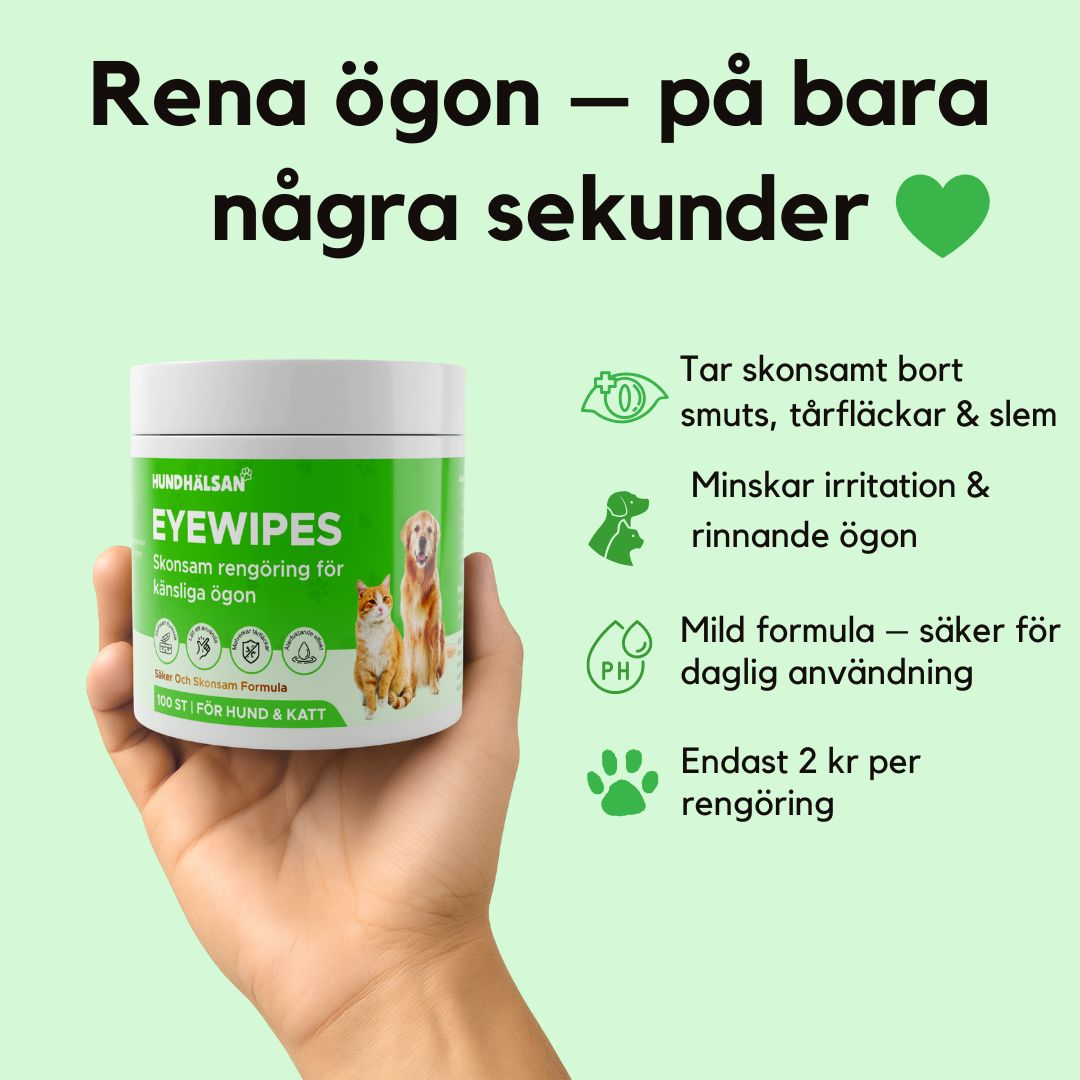 EyeWipes Kit - Skyddar mot ögonproblem