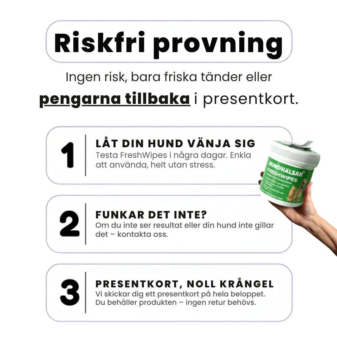 FreshWipe Kit - Skyddar mot tandproblem