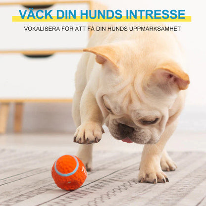SPORT BOLLEN™️ - En leksak som håller