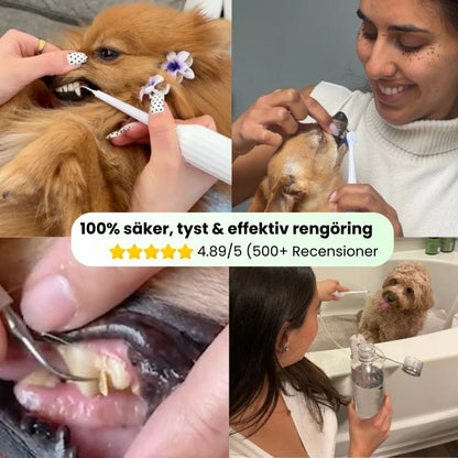 FreshSmile 3 in 1 Kit - Säker tandvård hemifrån