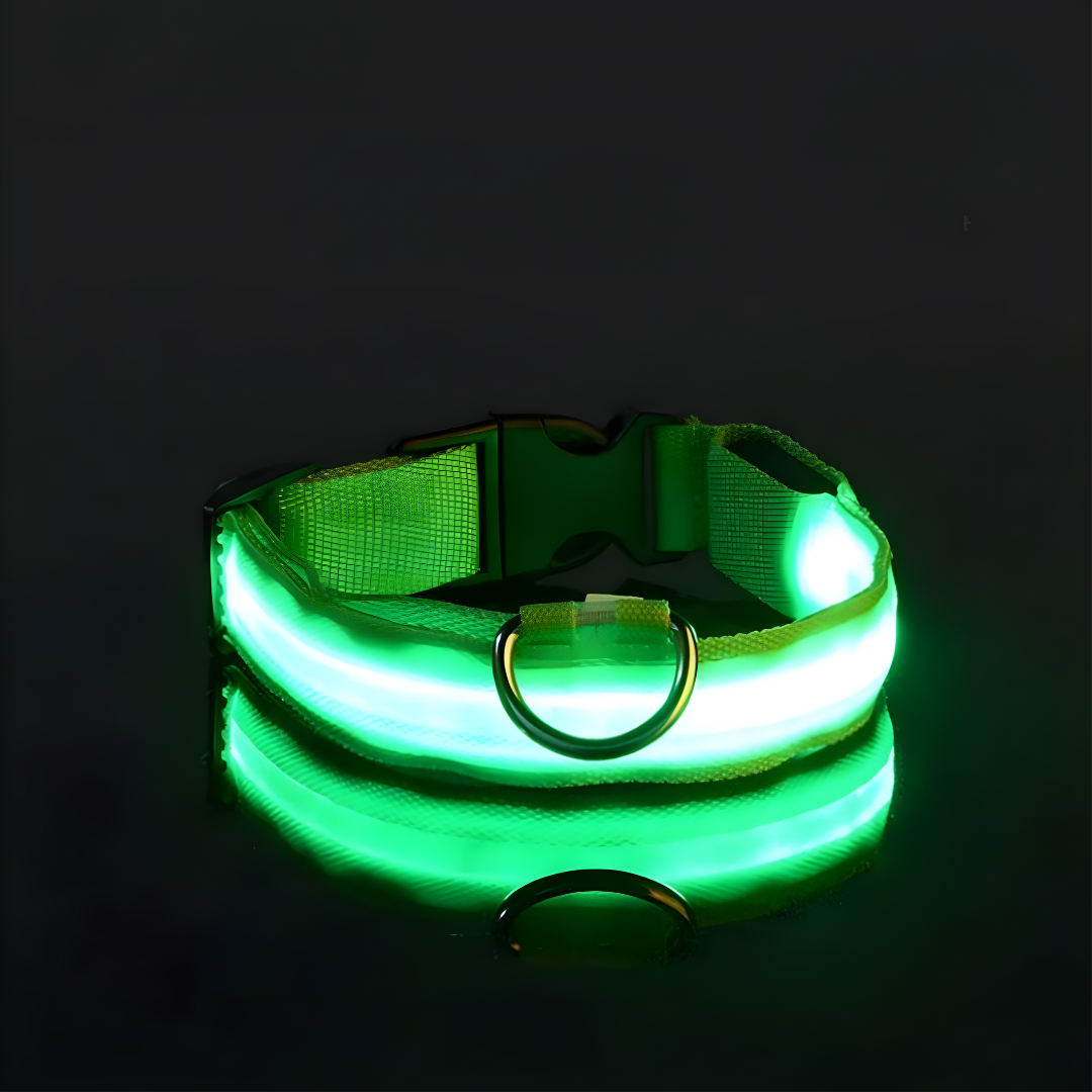 LED Halsbandet ⎮ Synliggör din hund