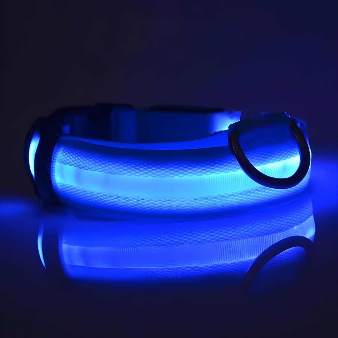 LED Halsbandet ⎮ Synliggör din hund