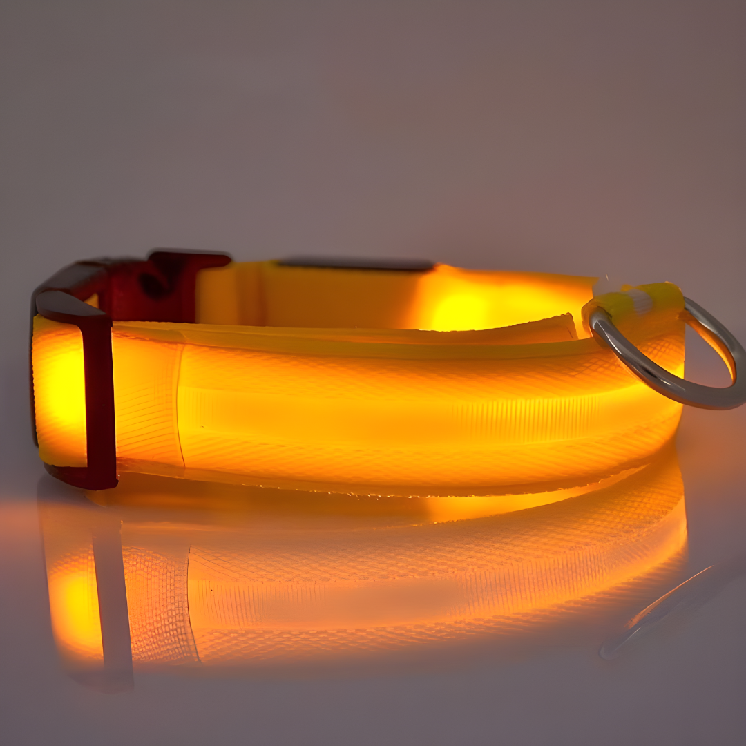 LED Halsbandet ⎮ Synliggör din hund