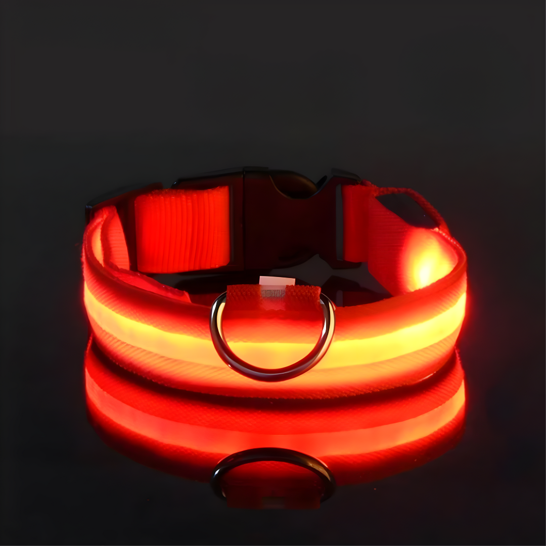 LED Halsbandet ⎮ Synliggör din hund