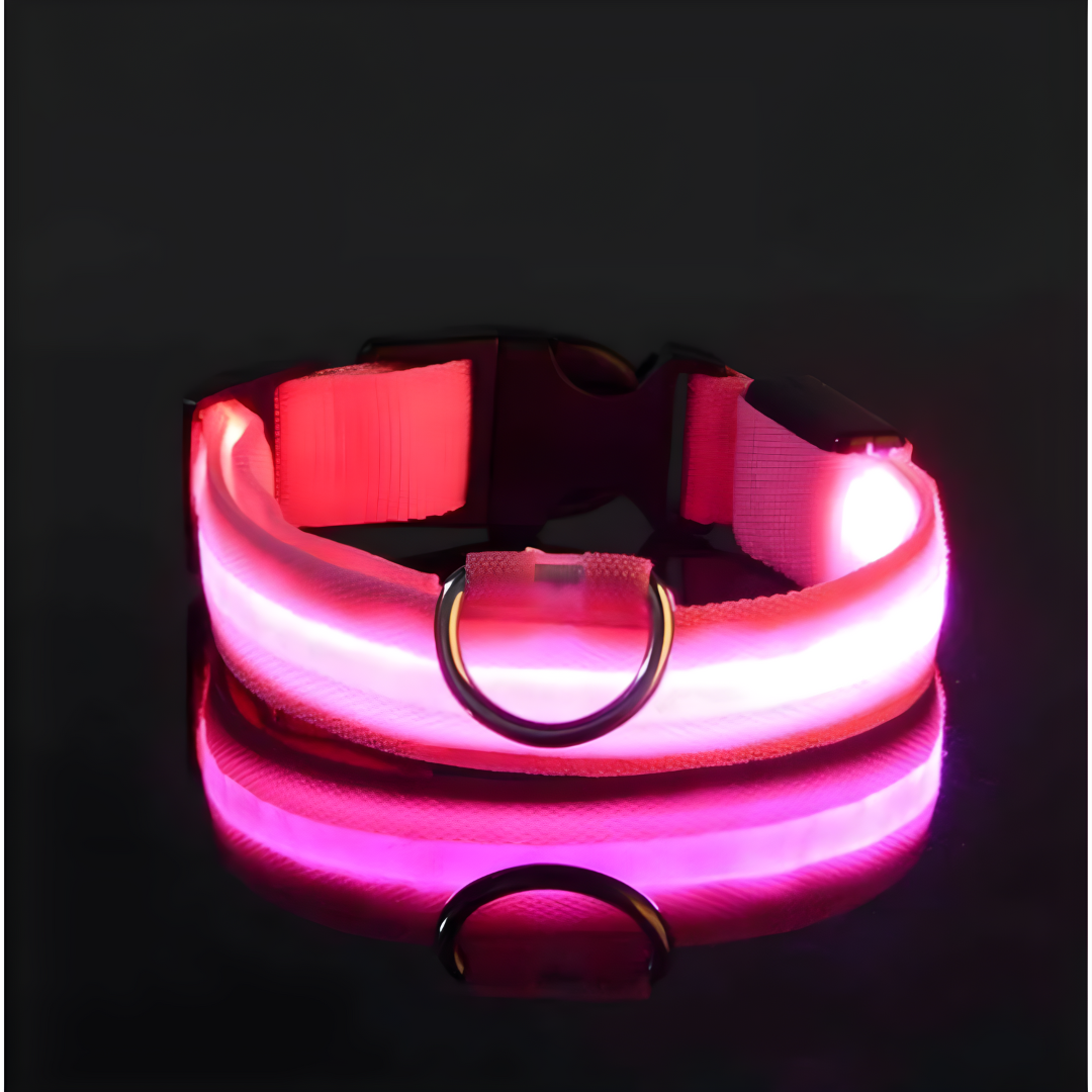 LED Halsbandet ⎮ Synliggör din hund