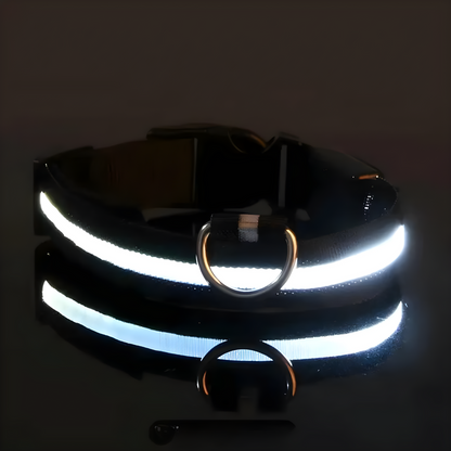 LED Halsbandet ⎮ Synliggör din hund