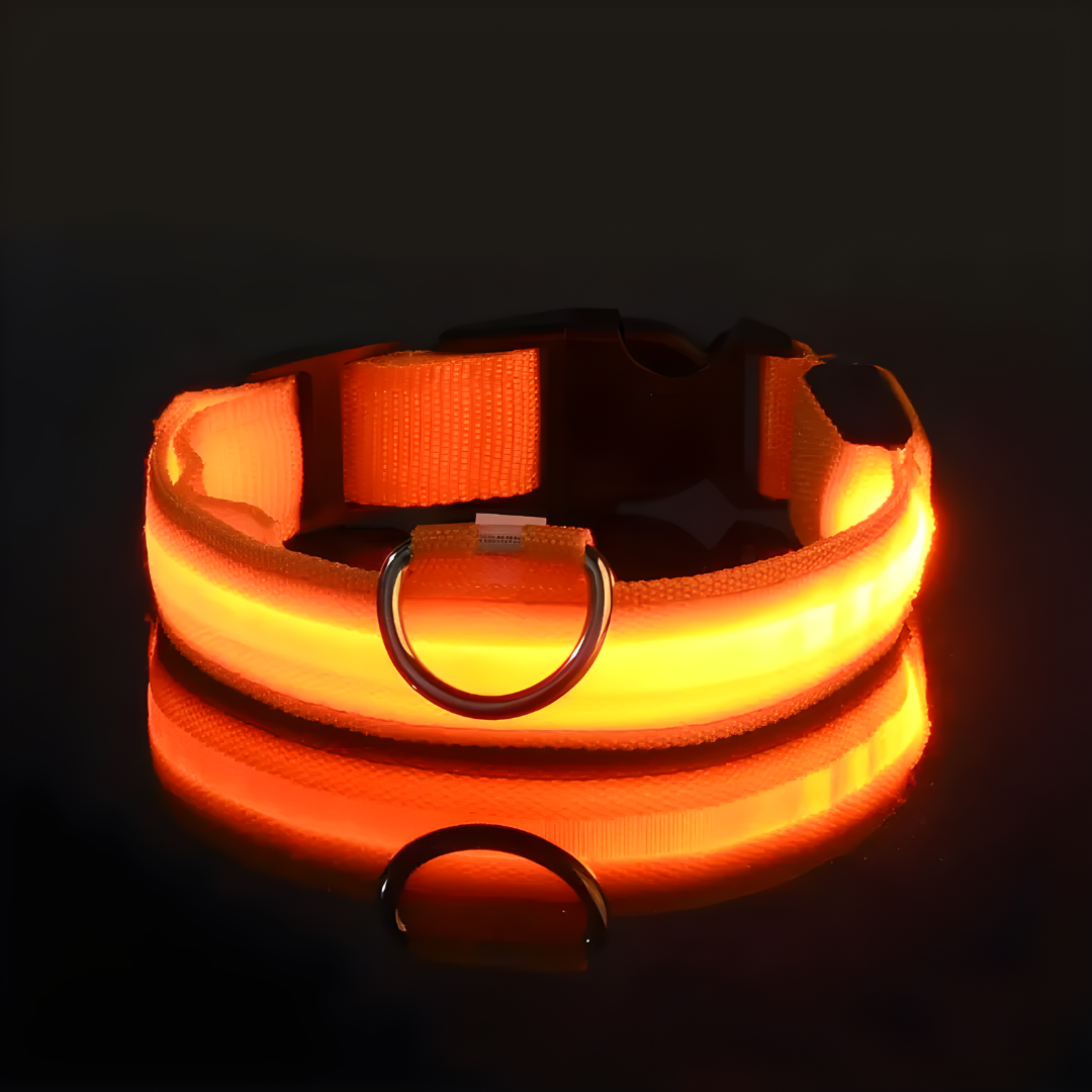 LED Halsbandet ⎮ Synliggör din hund