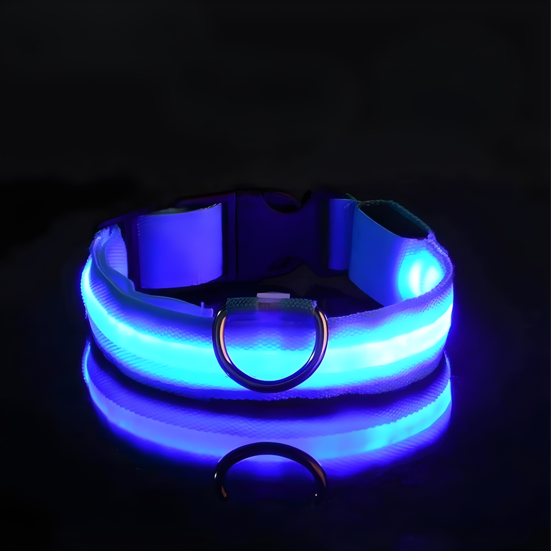 LED Halsbandet ⎮ Synliggör din hund