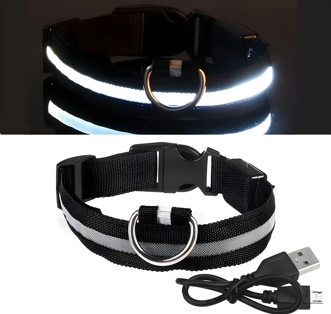 LED Halsbandet ⎮ Synliggör din hund